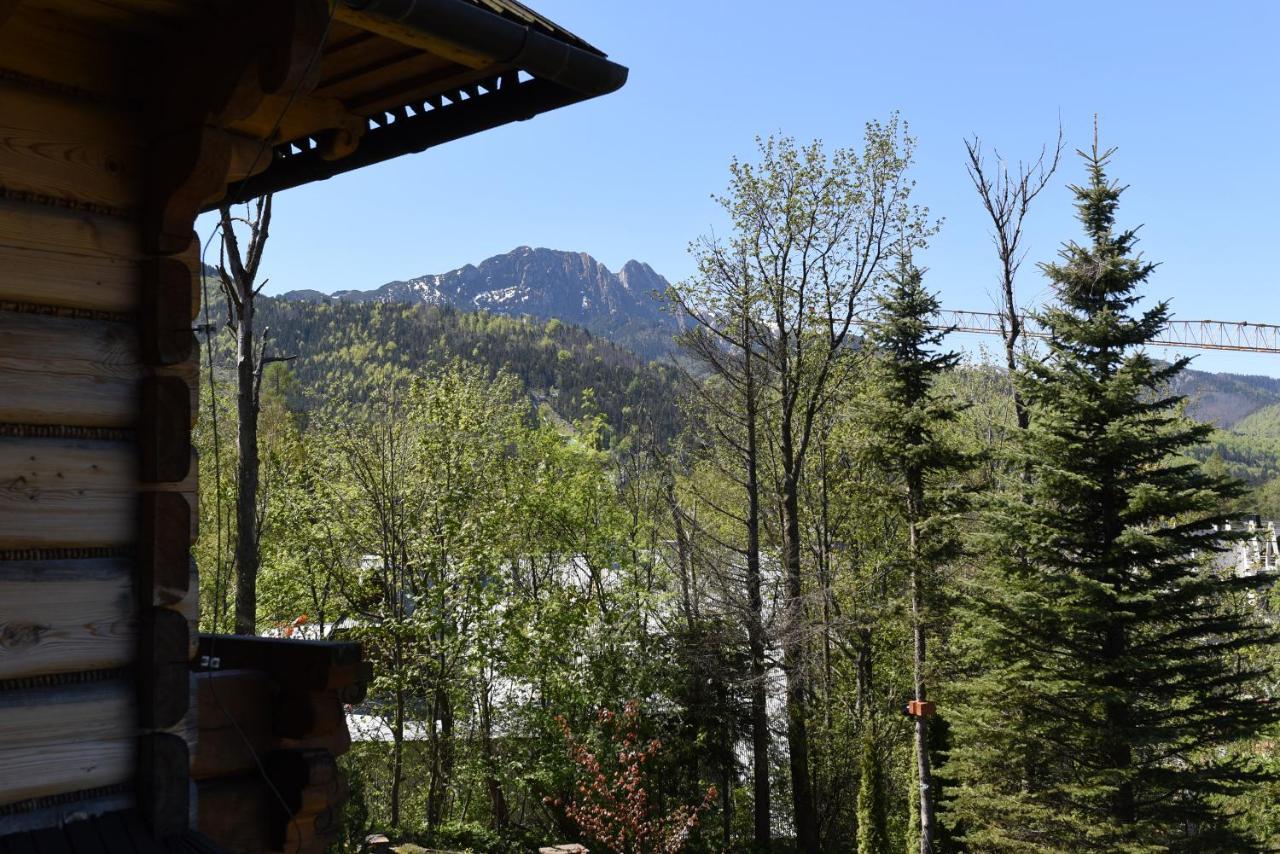 Willa Wojciechowo Zakopane Extérieur photo